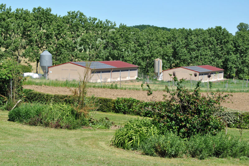 batiments_poulettes Bâtiment destiné au poulettes