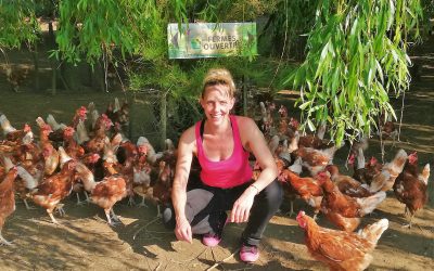 Journée portes ouvertes dimanche 3 juin