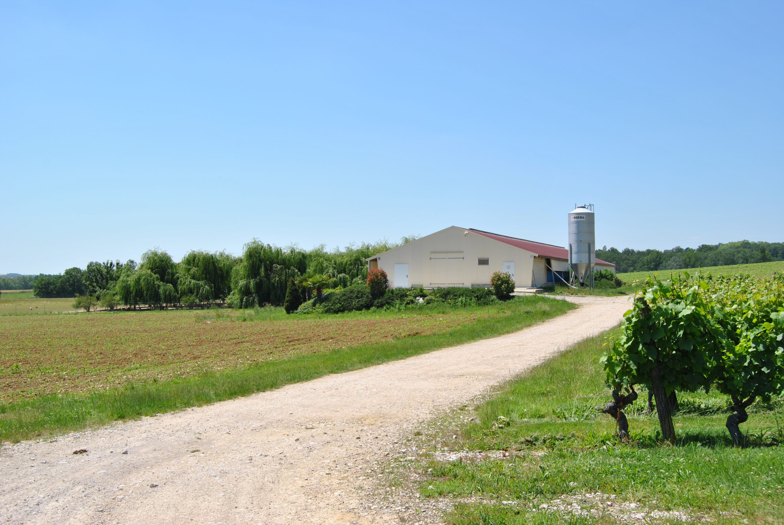 Atelier de pondeuses bio Bâtiment destiné au poulettes